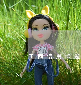 工商信用卡逾期起诉怎么流程 工商信用卡逾期起诉怎么流程