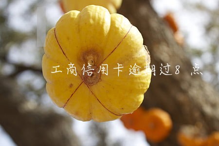 工商信用卡逾期过8点 工商信用卡逾期过8点