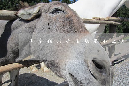 工商信用卡逾期还不上怎么办 工商信用卡逾期还不上怎么办