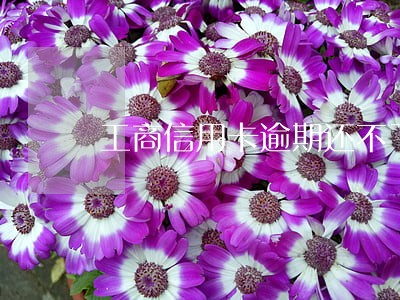 工商信用卡逾期还不了款了为什么 工商信用卡逾期还不了款了为什么