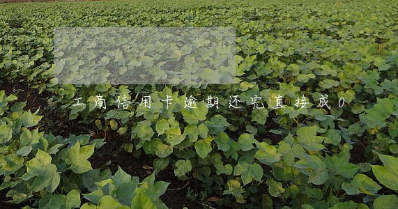 工商信用卡逾期还完直接成0