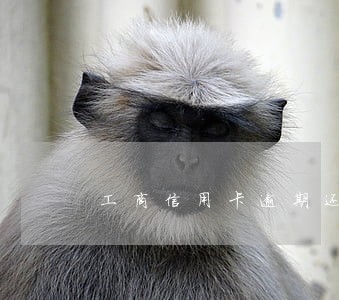 工商信用卡逾期还款后没额度 工商信用卡逾期还款后没额度