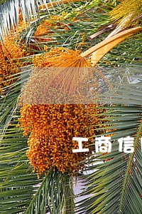 工商信用卡逾期还款显示卡已注销