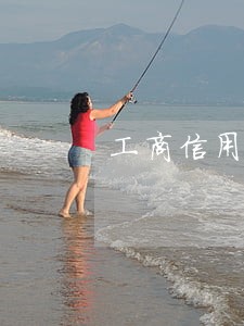 工商信用卡逾期还款还不进去