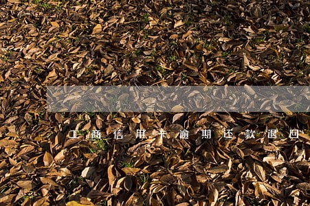 工商信用卡逾期还款退回怎么回事