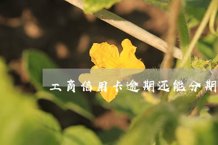 工商信用卡逾期还能分期吗 工商信用卡逾期还能分期吗