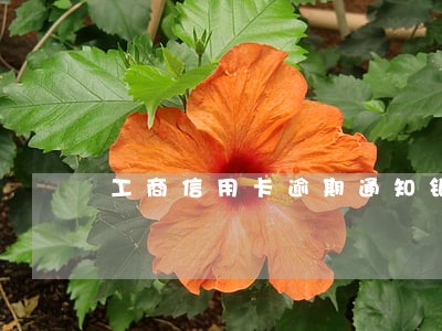 工商信用卡逾期通知银行