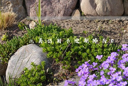 工商信用卡逾期降为0