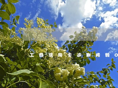 工商信用卡逾期降额0