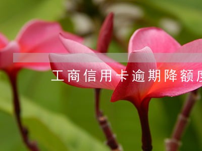 工商信用卡逾期降额度 工商信用卡逾期降额度