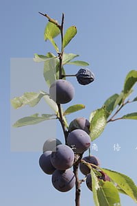 工商信用卡逾期额度变0怎么恢复 工商信用卡逾期额度变0怎么恢复