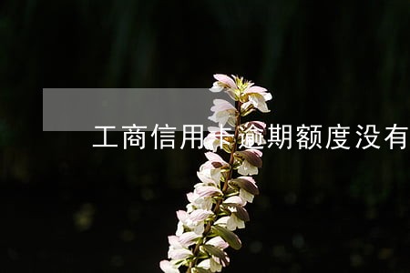 工商信用卡逾期额度没有了