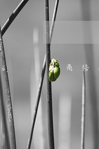 工商信用卡逾期额度清零 工商信用卡逾期额度清零