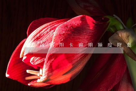 工商信用卡逾期额度降低 工商信用卡逾期额度降低