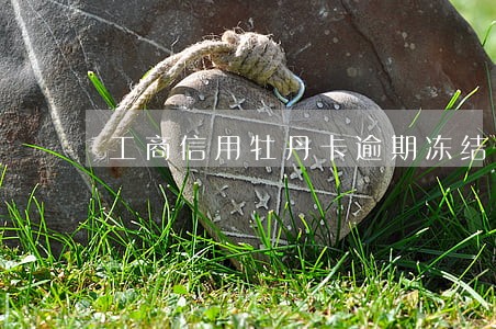 工商信用牡丹卡逾期冻结 工商信用牡丹卡逾期冻结