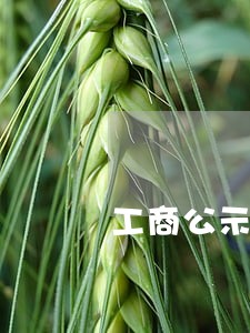 工商公示逾期了3年怎么办 工商公示逾期了3年怎么办