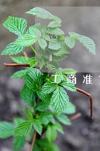 工商准贷记卡逾期3 工商准贷记卡逾期3