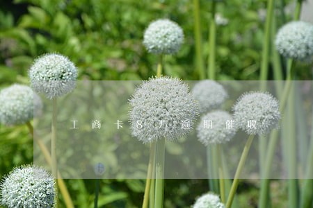 工商卡8万逾期催收