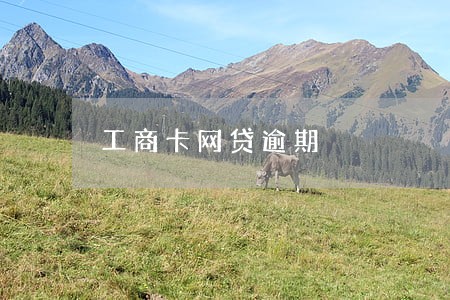 工商卡网贷逾期 工商卡网贷逾期