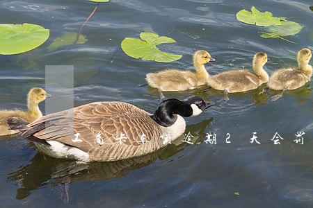 工商卡车贷逾期2天会罚款吗 工商卡车贷逾期2天会罚款吗