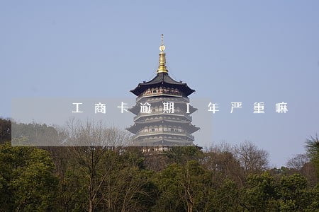 工商卡逾期1年严重嘛 工商卡逾期1年严重嘛