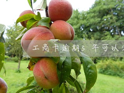工商卡逾期5年可以分期吗 工商卡逾期5年可以分期吗