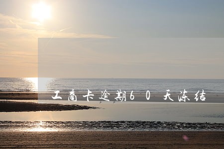工商卡逾期60天冻结 工商卡逾期60天冻结