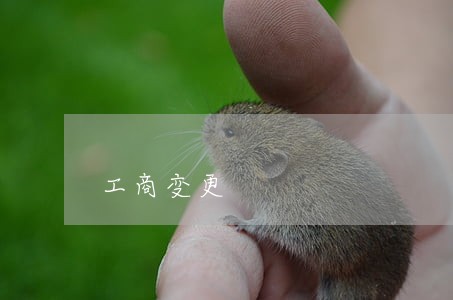 工商变更 工商变更