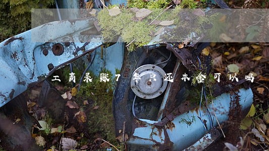 工商呆账7年只还本金可以吗 工商呆账7年只还本金可以吗