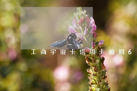 工商宇宙卡信用卡逾期6天 工商宇宙卡信用卡逾期6天