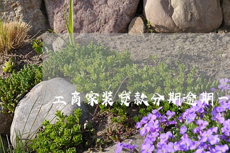 工商家装贷款分期逾期一天 工商家装贷款分期逾期一天