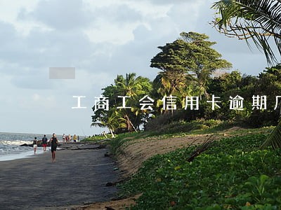 工商工会信用卡逾期几个小时