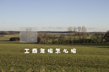 工商年报怎么报 工商年报怎么报