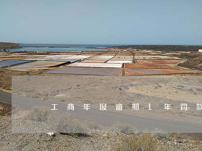 工商年报逾期1年罚款多少