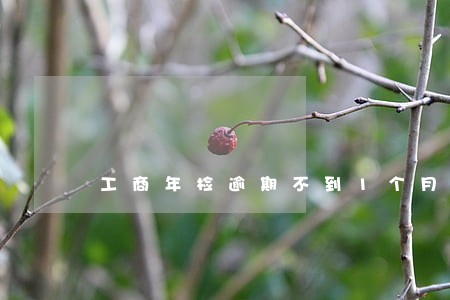 工商年检逾期不到1个月 工商年检逾期不到1个月
