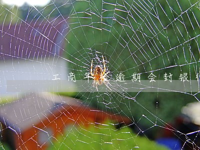 工商年检逾期会封银行账户吗