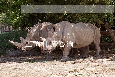 工商律师咨询 工商律师咨询