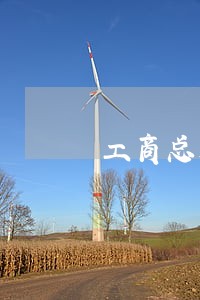 工商总局公布违法广告媒体名单 工商总局公布违法广告媒体名单