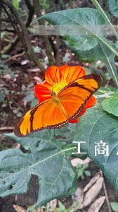 工商房贷1400逾期罚金多少 工商房贷1400逾期罚金多少