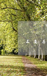 工商房贷逾期4个月 工商房贷逾期4个月