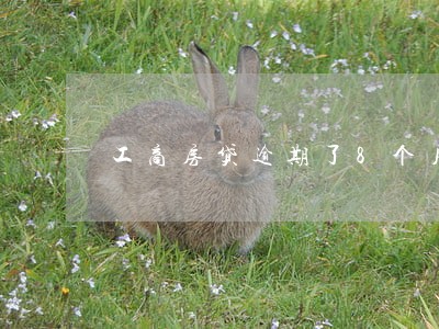 工商房贷逾期了8个月 工商房贷逾期了8个月