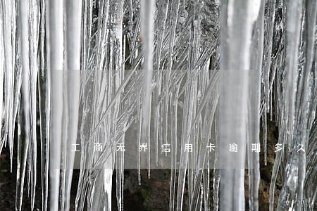工商无界信用卡逾期多久上报征信 工商无界信用卡逾期多久上报征信