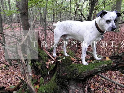 工商法律咨询律师怎么样 工商法律咨询律师怎么样