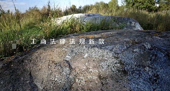 工商法律法规新款 工商法律法规新款