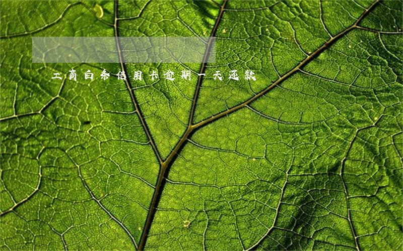工商白条信用卡逾期一天还款 工商白条信用卡逾期一天还款