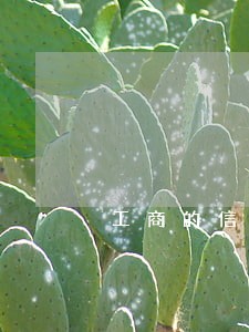 工商的信用卡能逾期 工商的信用卡能逾期