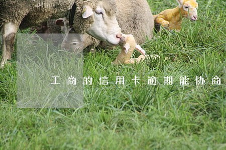 工商的信用卡逾期能协商吗 工商的信用卡逾期能协商吗