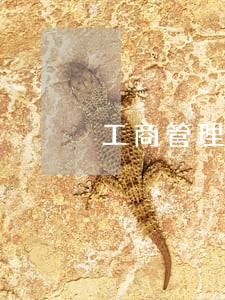 工商管理信用卡逾期
