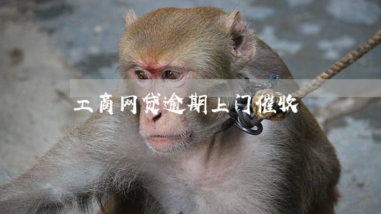 工商网贷逾期上门催收 工商网贷逾期上门催收