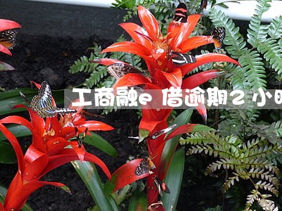 工商融e借逾期2小时 工商融e借逾期2小时